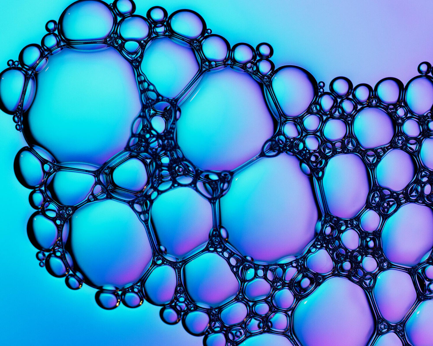 1357 copia Bolle di ossigeno e ozono in macrofotografia